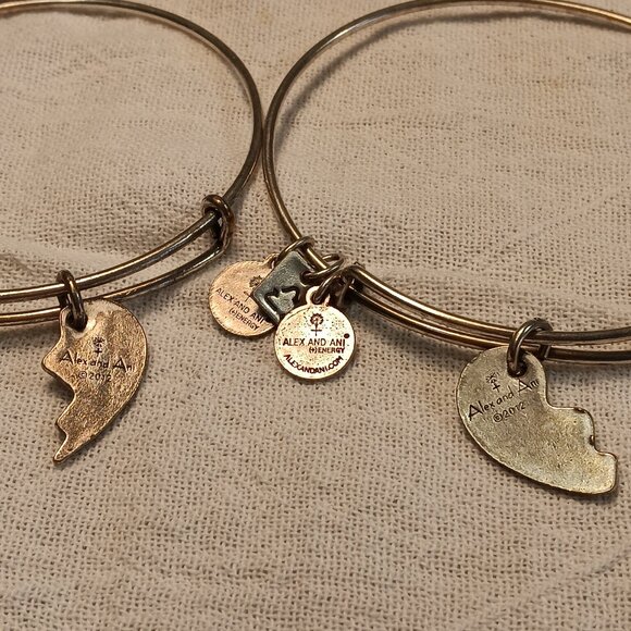 Alex and Ani lot of 9 bangle bracelets silver & brass tones + 1 Footnotes - Picture 9 of 16